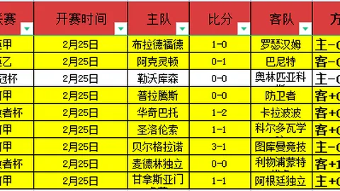 中国轮椅冰壶队连续四年荣获世锦赛冠军 2025-03-10