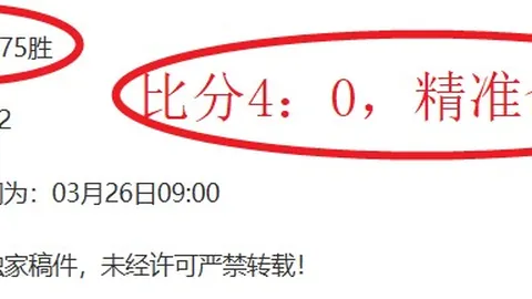 2025年美国职业球队球衣收藏版